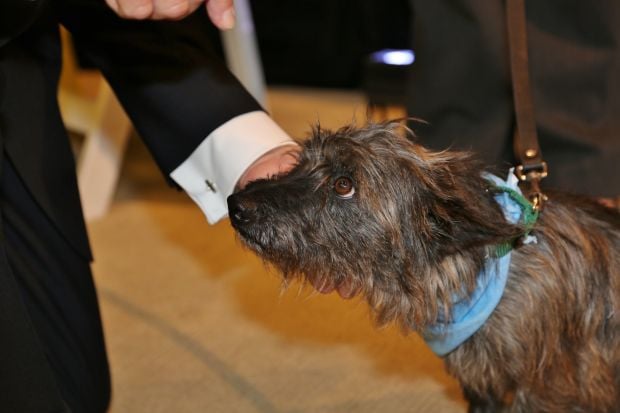 Smith ready for adoption